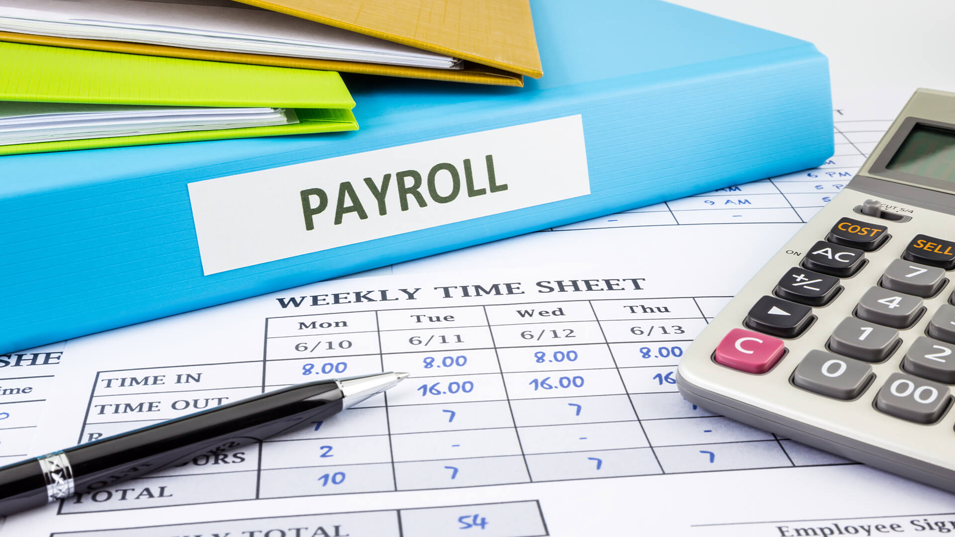 payroll audits nic