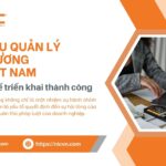 dịch vụ quản lý tiền lương