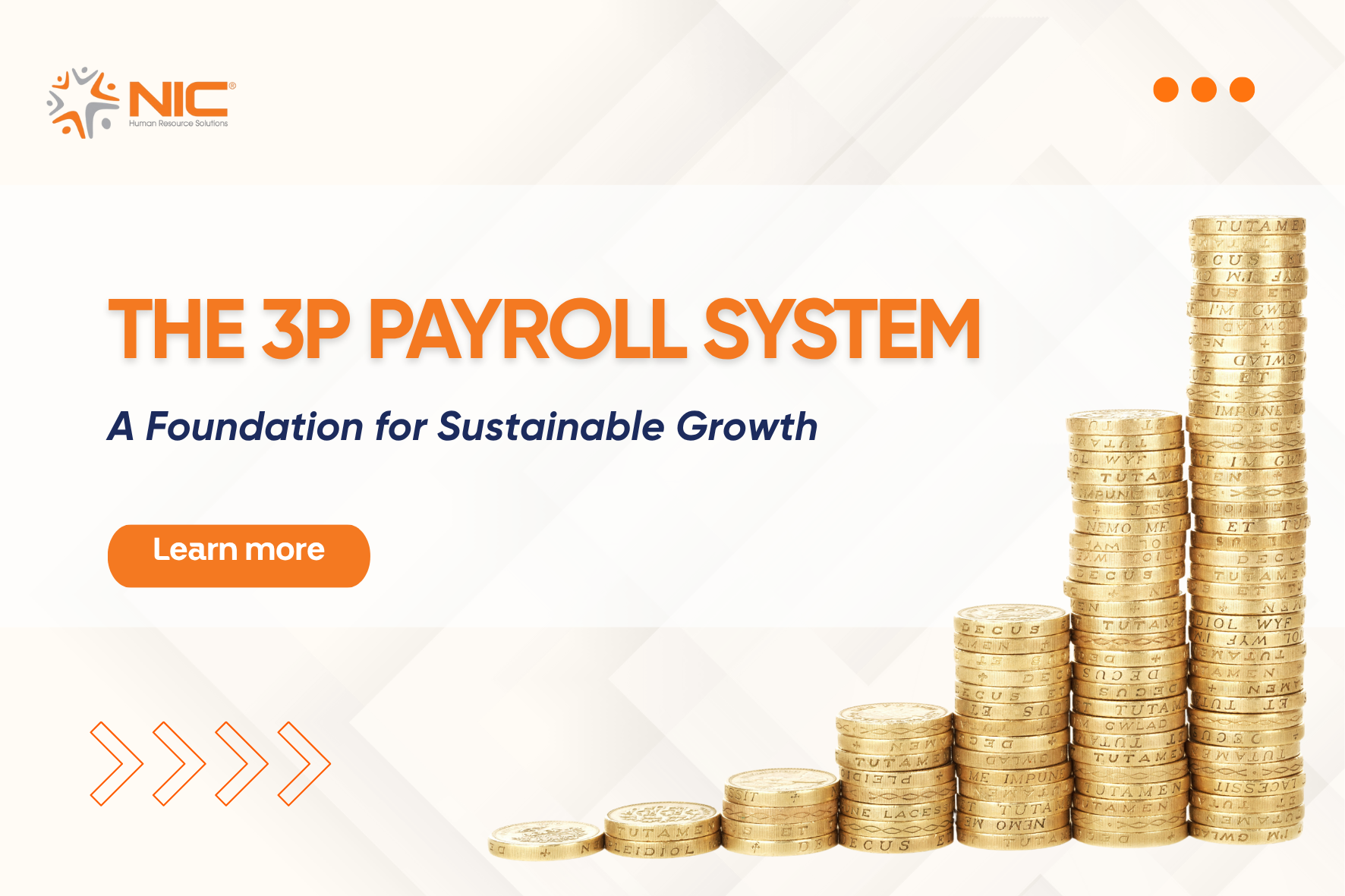 Applying the 3P Pay System A Foundation for Sustainable Growth