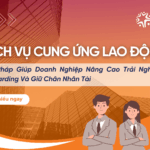 Dịch vụ Cung ứng lao động - Staffing Services