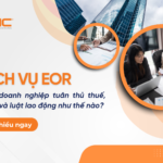 Dịch vụ EOR giúp doanh nghiệp tuân thủ thuế, BHXH và luật lao động như thế nào