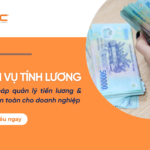 Dịch vụ tính lương NIC Global Giải pháp quản lý tiền lương & BHXH an toàn
