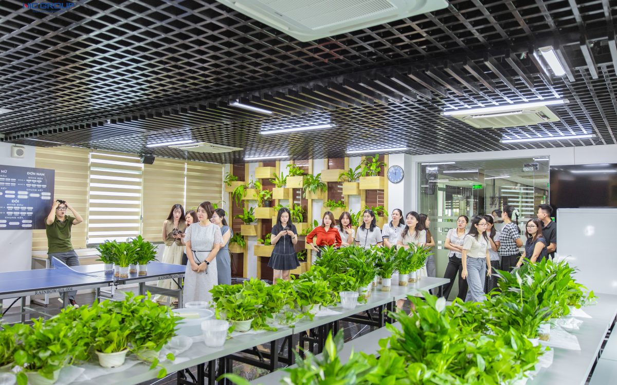 NIC Group CSR