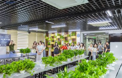 NIC Group CSR